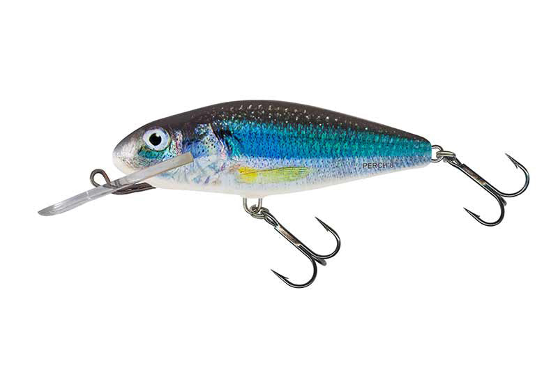 Salmo Perch Deep Runner 8cm