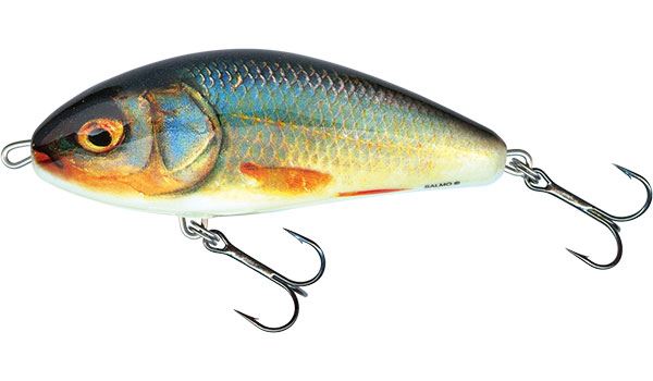 Salmo Fatso Sinking Real Roach 14cm 
